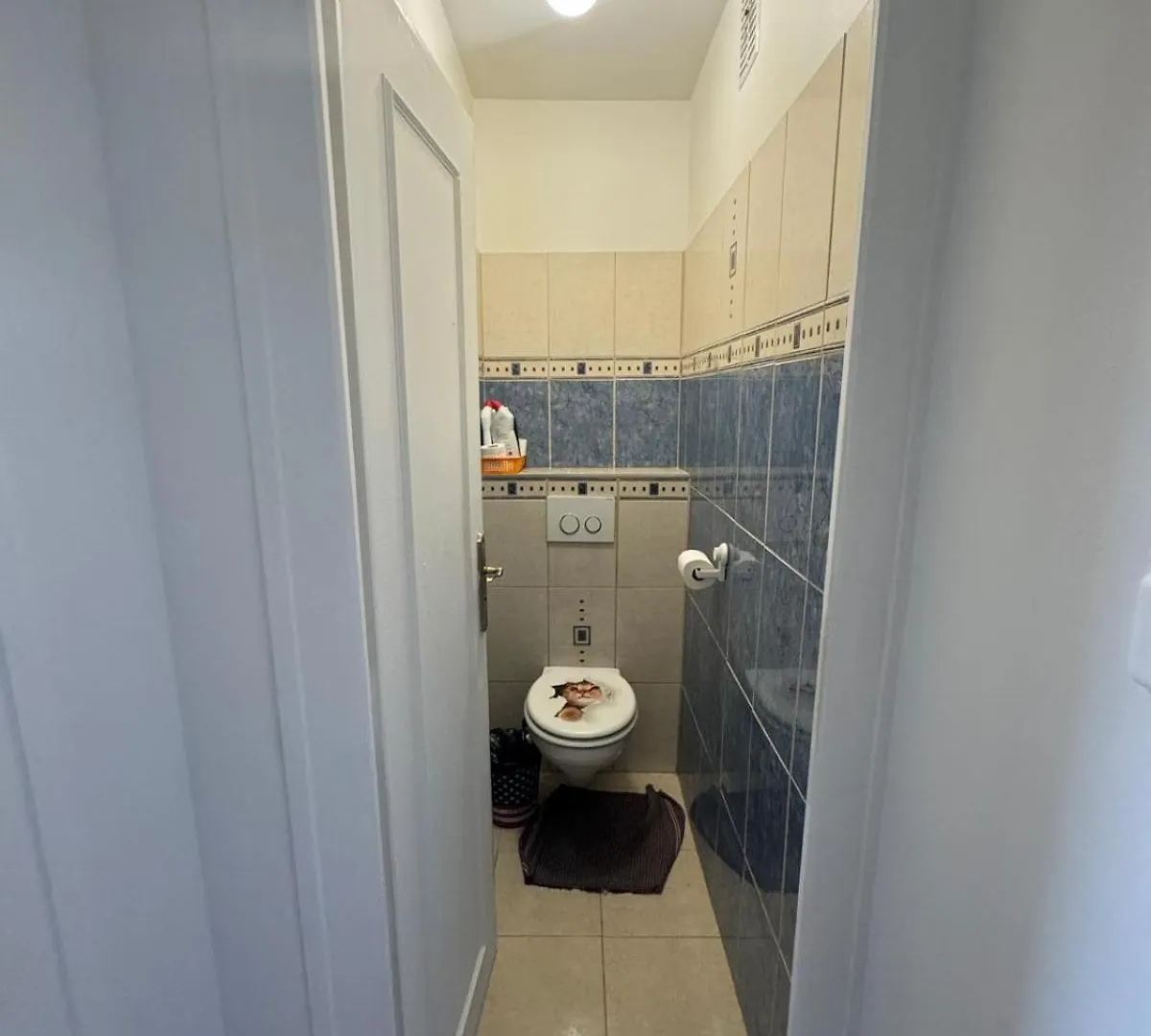 Séjour chez l'habitant Chambre Bleu Ambilly France